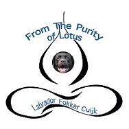 From The Purity Of Lotus logo website